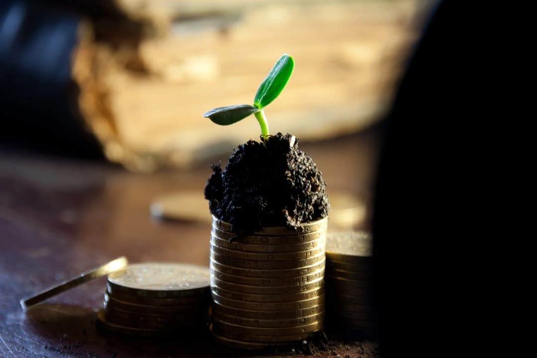 Why Berkshire Hathaway Doesn't Pay Dividends